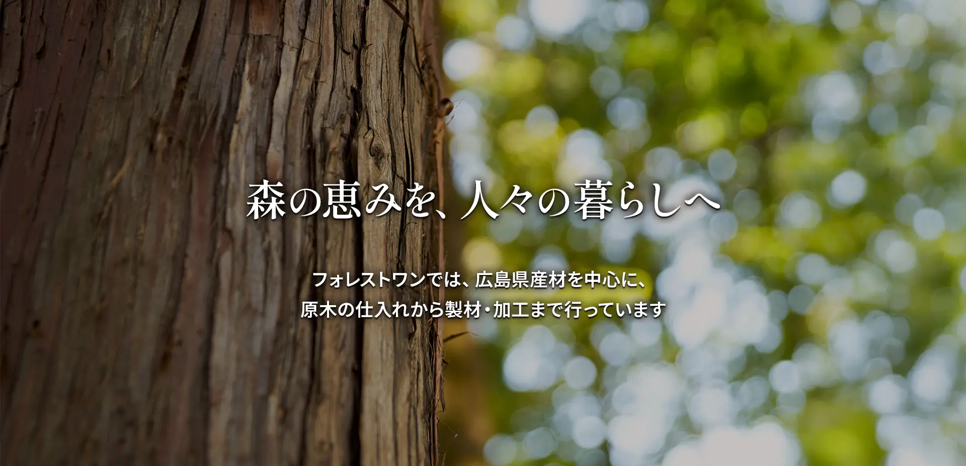 メインビジュアル02